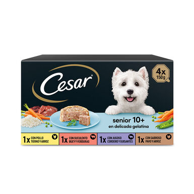 Cesar Carnes Mixtas Tarrina en Gelatina para Perros Senior - Multipack
